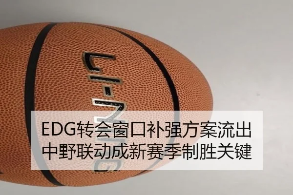 EDG转会窗口补强方案流出 中野联动成新赛季制胜关键